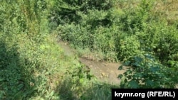 Река Малый Салгир в Симферополе в районе ул. Буденного. 19 июля 2025 года.