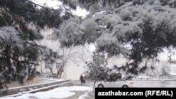 Türkmenistanda şu ýyl birnäçe gezek güýçli gar ýagdy. Fewral, 2025. 