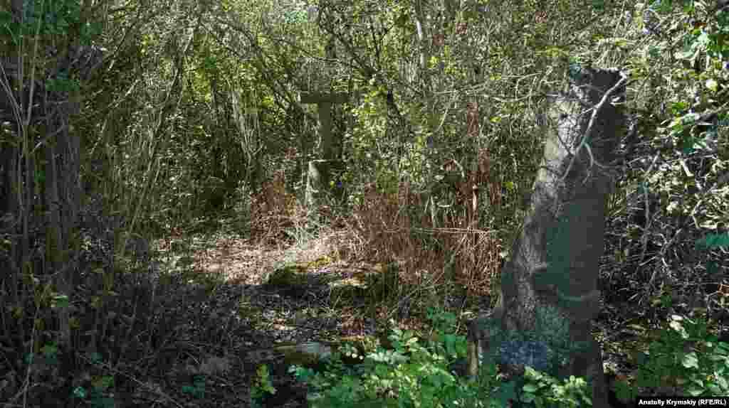 Kimerlerine çıtırmanlıqlar arasından keçmege qıyın