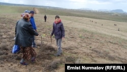 Разметка земельных участков в массиве Кен-Сай, 2012 г.