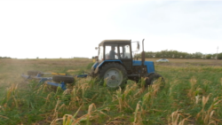 „Am investit peste 15.000 de lei la hectar, dar nu strângem nimic”