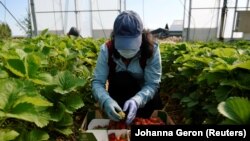 Илустративна фотографија 