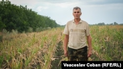Vitalie Haret, agricultor de la Stefan Vodă