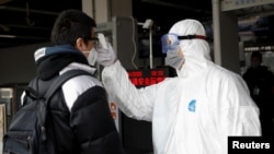 Иллюстрациялык сүрөт.