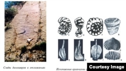 Акс аз саҳифаи Пажӯҳишгоҳи геологияи Тоҷикистон