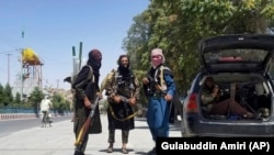 Талибы в Газни в 150 километрах от Кабула