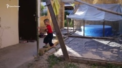 Aqaysız, babasız, ağasız: Ömerovlar qorantası nasıl yaşay (video)