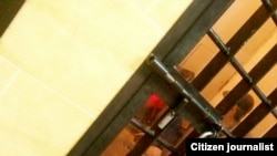 Иллюстрациялык сүрөт.