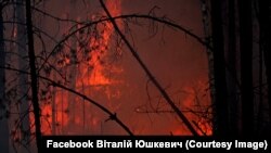 Лісові пожежі в Овруцькому район Житомирщини. Фото Віталія Юшкевича, 20 квітня 2020 року