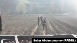 Иллюстративное фото.