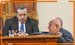 Valdes Radev cyber cartoon Borisov Erdogan