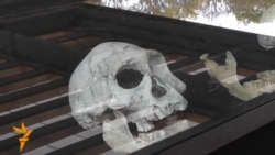 Грузядә иң борыңгы кешенең баш сөяге табылды