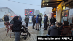 Хорватин дозана гена йоцчу Бургенландера кафена уллохь лаьтта нохчийн тоба, 2024-чу шеран лахьан-беттан 8-гIа де