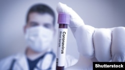 Иллюстрациялык сүрөт. 