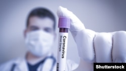 Иллюстрация.