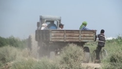 Daşoguzda bahar gurak geçýär, ekerançylykda suw ýetmezçilik edýär