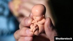 Иллюстрациялык сүрөт. 