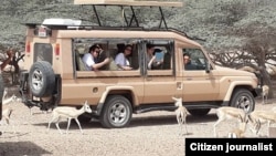 Незабываемое путешествие  на остров Сир Бани Яс. Фото автора