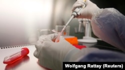 Багато провідних лабораторій світу працюють над винайденням вакцини проти коронавірусу