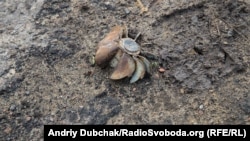 Хвостовик міни на позиції українських військових у селищі Мар'їнка, що під Донецьком
