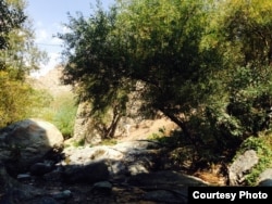 Путешествия всегда сопровождаются занимательными совпадениями. Выяснилось, что мой сосед и по совместительству экскурсовод по Йезду 8 лет прожил в Кыргызстане. Иса хорошо говорил по-русски и знал все о Бишкеке и Джалал-Абаде. Мир намного меньше, чем мы думаем.