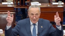 په سنا کې د اقلیت ډیموکراټانو مشر چاک شومر