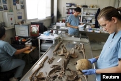 Експерти на съдебната медицина и до днес се опитват да идентифицират жертвите в масовите гробове. Снимката е от юни 2011 г.