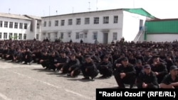 Иллюстративное фото