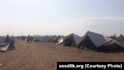 Уйлари бузилган урганчликларнинг ҳозир яшаб турган жойи