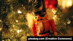 მაკნატუნა