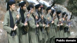 Ҷангиёни ҲИУ дар Покистон