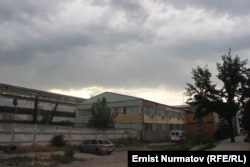 Международный университет науки и бизнеса