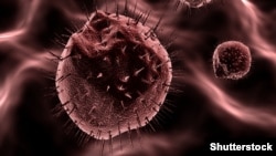 Рак клеткалары