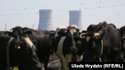 Каля Беларускай АЭС у Астраўцы