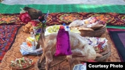 Той дасторкону