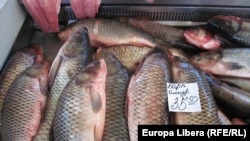 Балык базар