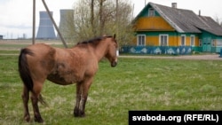 Ваколіцы БелАЭС, Астравецкі раён