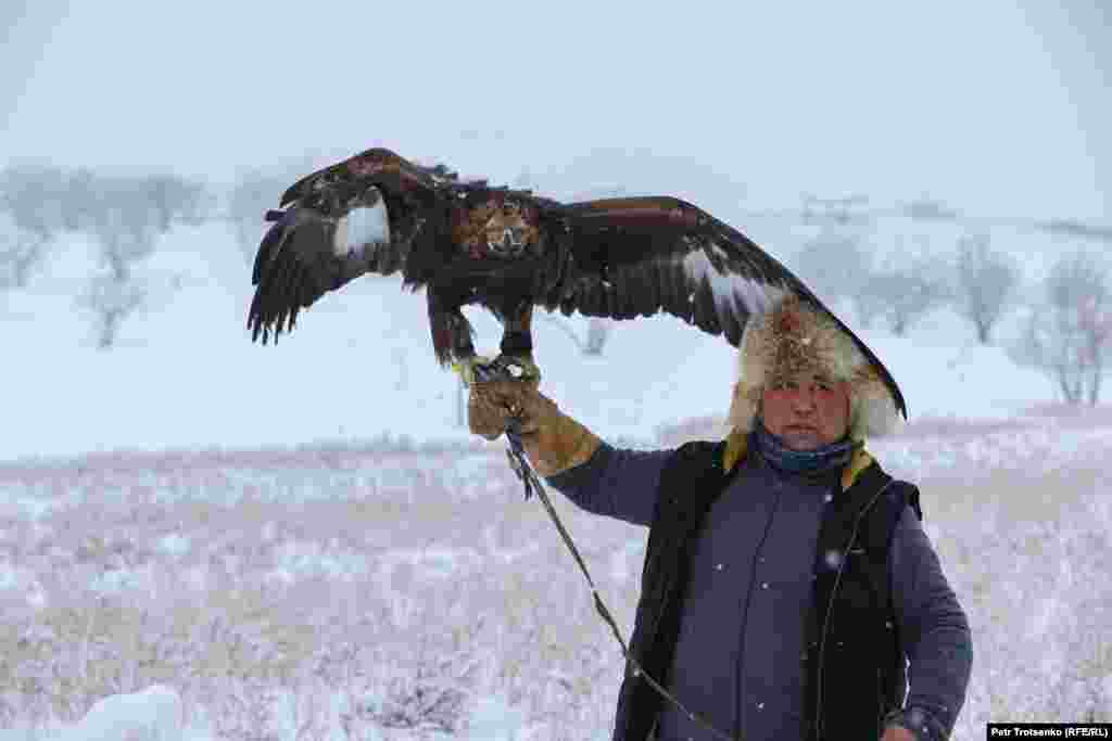 В турнира са участвали беркучи от 10 области на Казахстан. Заради пандемията от коронавирус са поставени допълнителни ограничения. Участниците са имали право да донесат само по два златни орела, един сокол и един орел от всеки регион. На тази снимка ловец със златен орел се подготвя за началото на състезанието.