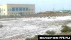 Из-за отсутствия дренажных коллекторов соляная почва на больших участках Дашогузской области - обычное явление