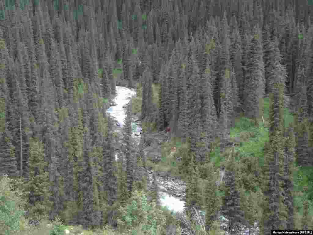 Жаратылыш багында "Каприз", "Каракол" лыжа базалары жайгашкан.