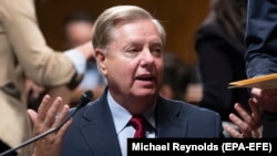 ԱՄՆ սենատոր Լինդսի Գրահամ, արխիվ