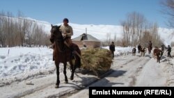 Иллюстрациялык сүрөт. 