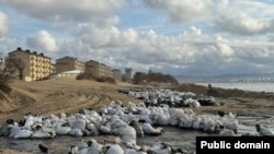 Зібраний волонтерами забруднений пісок. Краснодарський край, РФ, 2025 рік