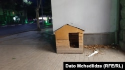 რუსთავის ქუჩებში ზოგ ადგილას ძაღლებისთვის ასეთი სახლები დგას