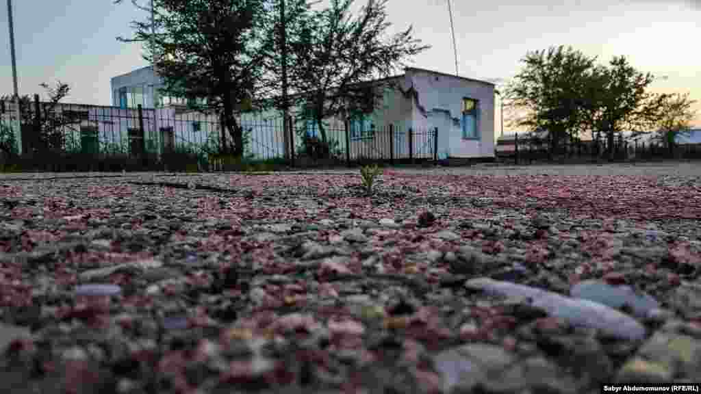 Взлетная полоса аэропорта сохранилась. Она способна принимать самолеты массой не более 22 тонн. До конца 1997 года из Казармана в Джалал-Абад и обратно летал 32-местный ЯК-40 авиакомпании "Кыргызстан аба жолдору". Билет стоил 150 сомов. &nbsp;