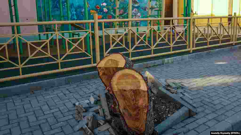 Başqasında ise - pıçalar