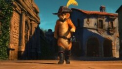 Тест: Итекле мәче