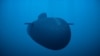Sistemul subacvatic cu capacitate nucleară Poseidon al Rusiei. Imagine publicată de ministerul rus al Apărării, preluată de Reuters.