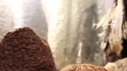 د پېښور کیسه خوانۍ د قراقلو بازار سوړ شوی