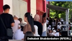 Жогорку окуу жайга тапшыруу. Иллюстрациялык сүрөт. 